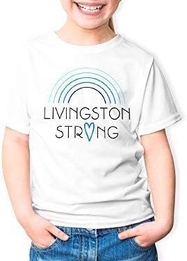 NuFun Activities Inkjet Printable Iron-On Heat Tshirt Transfer Paper 11x17 (12, Light Fabrics)