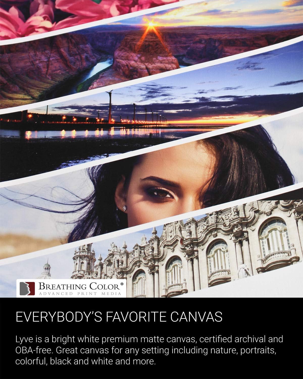 Premium Lyve Matte Canvas Sheets Professionals choice for Archival Inkjet for Use on Epson, Canon and HP printers. 8.5 inch x 11 inch 25 sheets