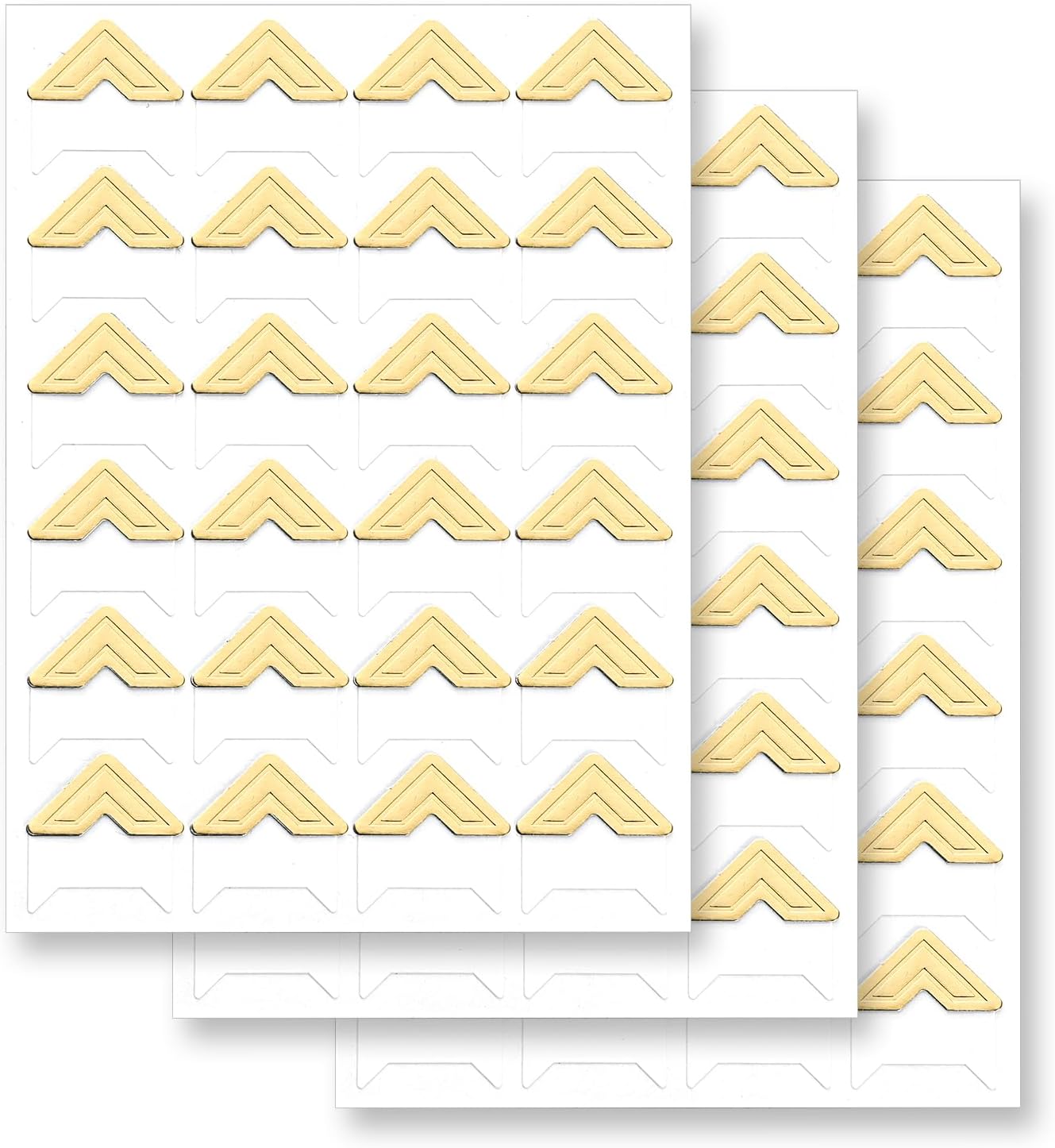 Scrapbooking & Stamping