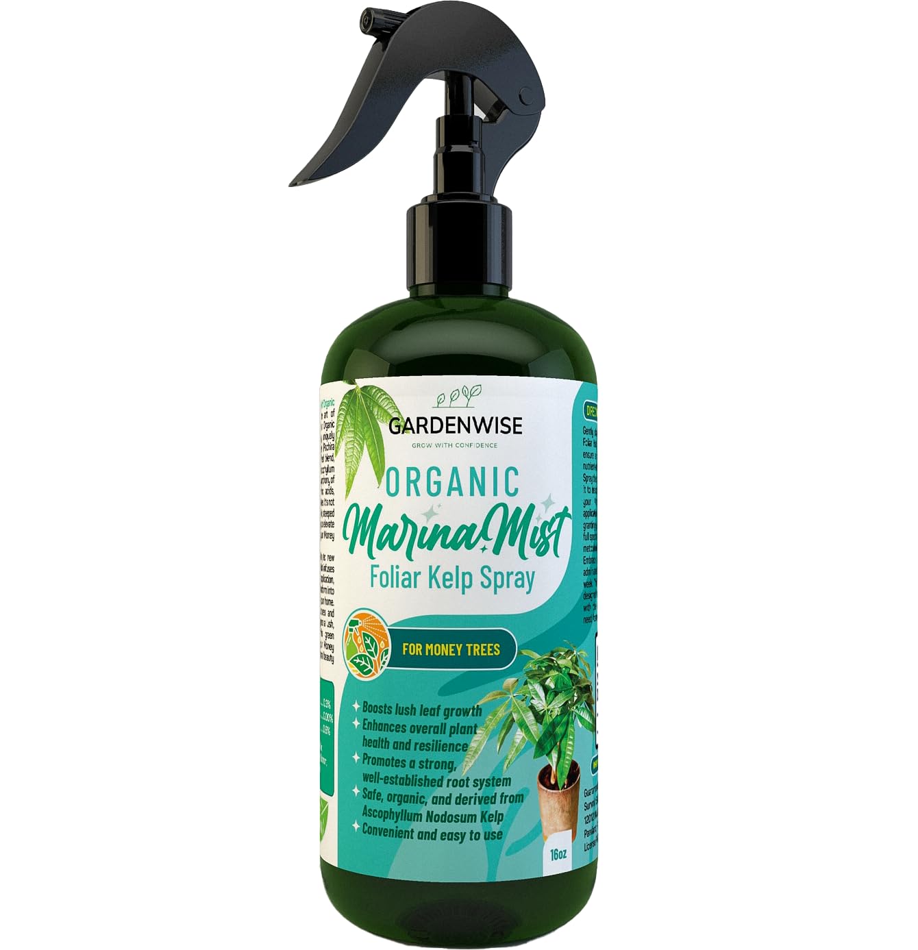 Organic Marina Mist Foliar Spray for Money Tree | Liquid Fertilizer | Micro Nutrients for Vital Health | Liquid Plant Food (16 OZ)