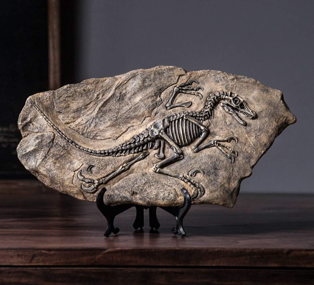 XINDAM Resin Dinosaur Fossil Statue Model Simulated Skeleton Home Office Display Decorative Craft Box Decoration (Style 2)