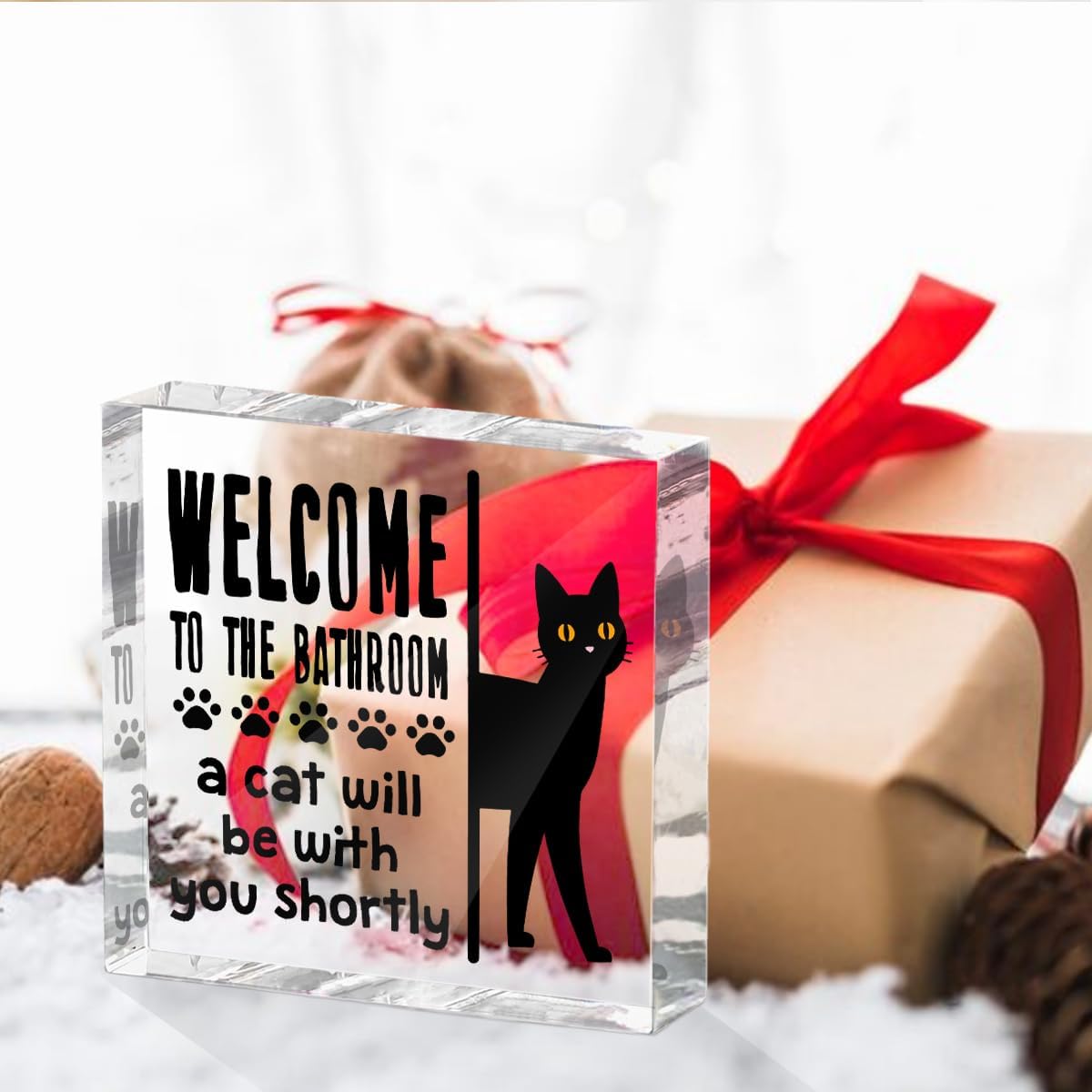 Funny Cat Bathroom Decor Acrylic Decorative Signs 4x4 Inch, Humorous Decorations for Bathroom Home Shelf Toilet, Gag Cat Lover Gifts for Women Men Friends