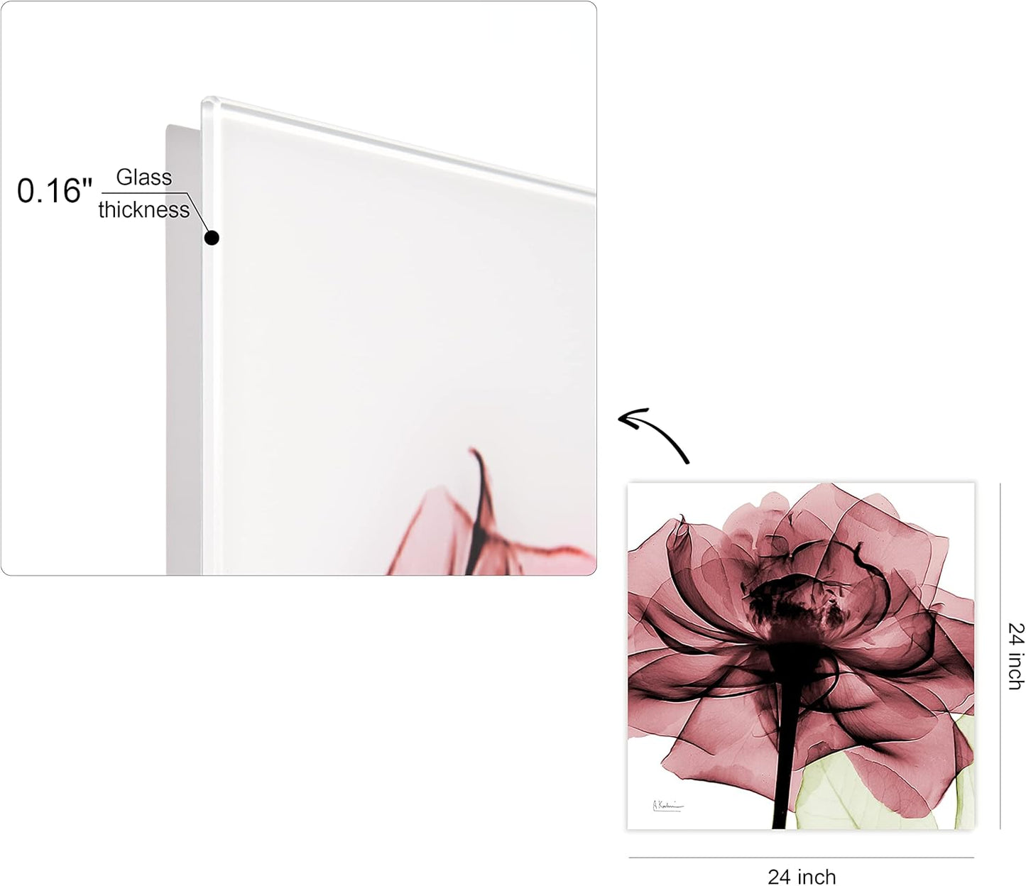 Empire Art Direct Frameless Free Floating Tempered Glass Panel Graphic Wall Art Ready to Hang, 24" x 24", Chianti Rose II