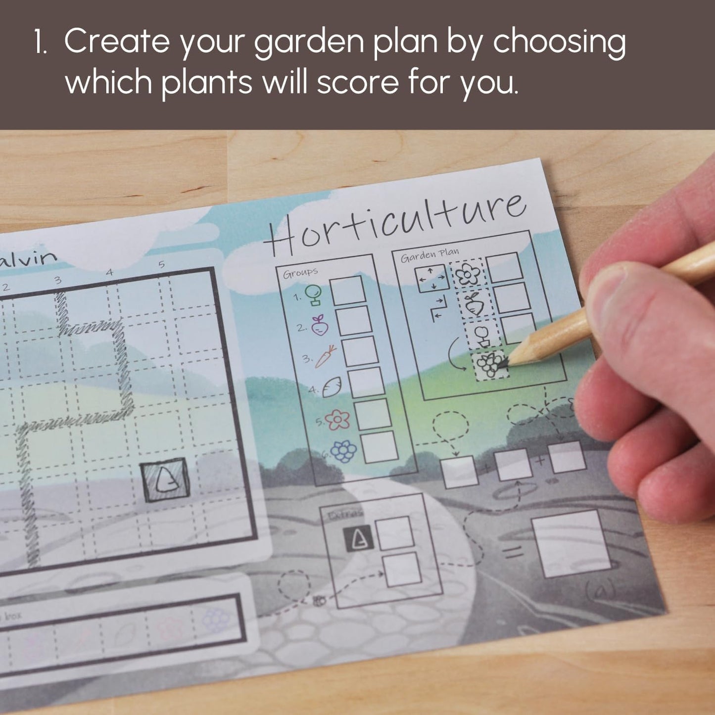 Horticulture | Strategic flip and Write Game for Families