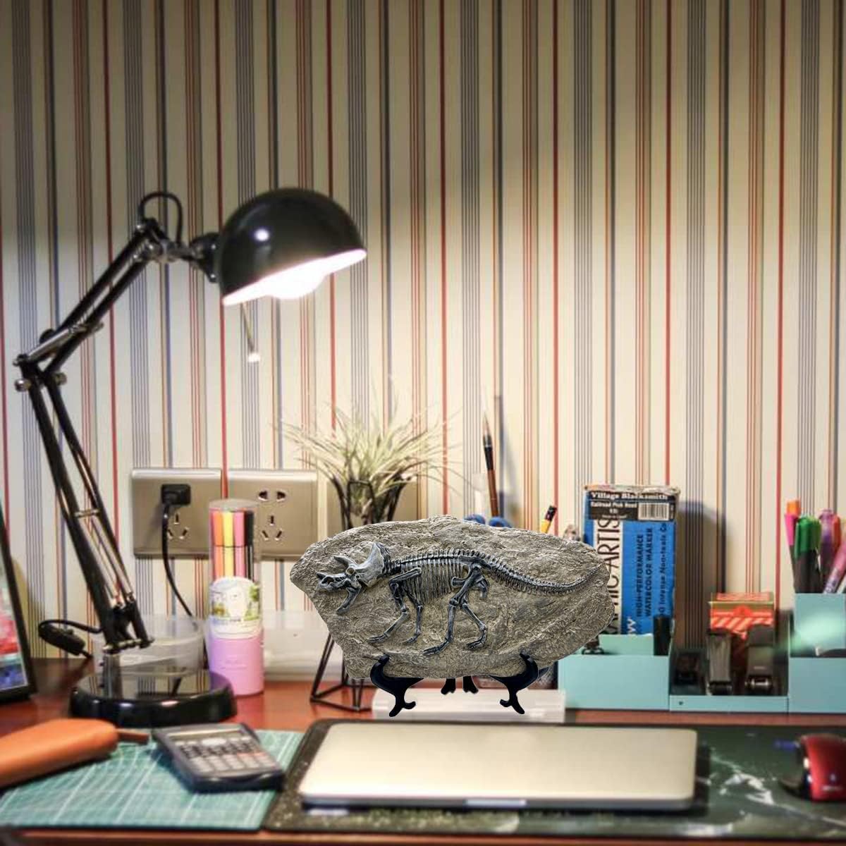XINDAM Resin Triceratops Dinosaur Fossil Statue Model Simulated Skeleton Home Office Display Decorative Craft Box Decoration (Style 6)
