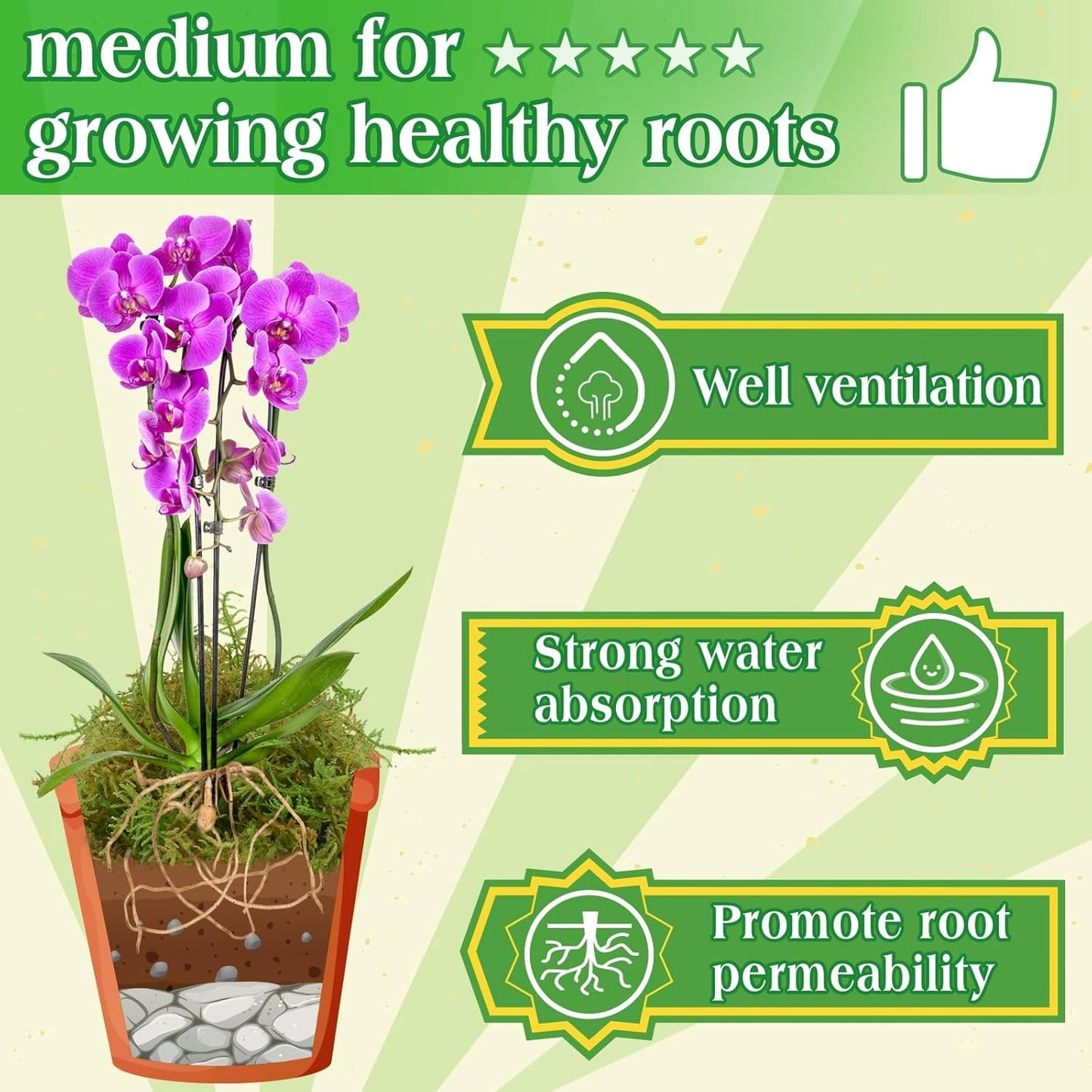 Halatool 9OZ Green Moss for Potted Plants, 12QT Orchid Moss Potting Mix, Forest Moss for Indoor Plants, Indoor Potting Plant Moss for Repotting Terrariums Garden Reptiles