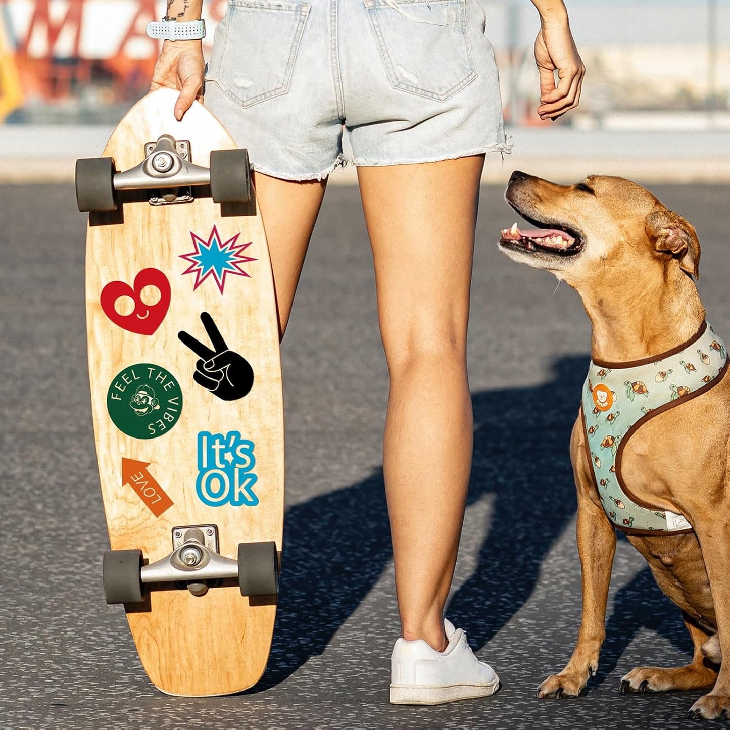 Ant Smart Adhesive Permanent Vinyl Compatible with Cricut Explore and Maker Series Without Cutting Mats, Create DIY Projects, Decals, Stickers & More (Matte Black, 13inchx10ft)