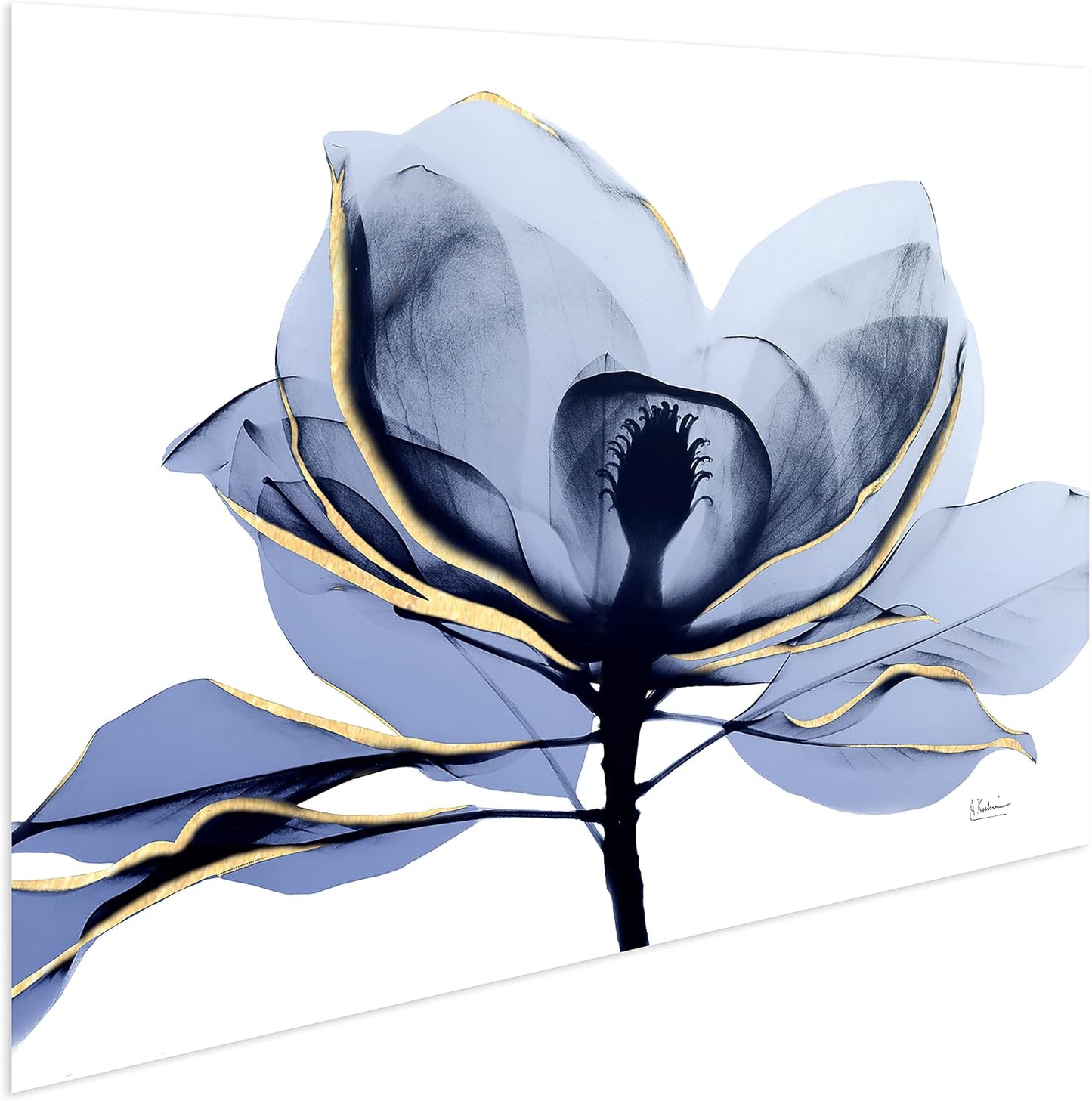 Empire Art Direct Frameless Free Floating Tempered Glass Panel Graphic Wall Art Ready to Hang, 32" x 48", Golden Midnight 2