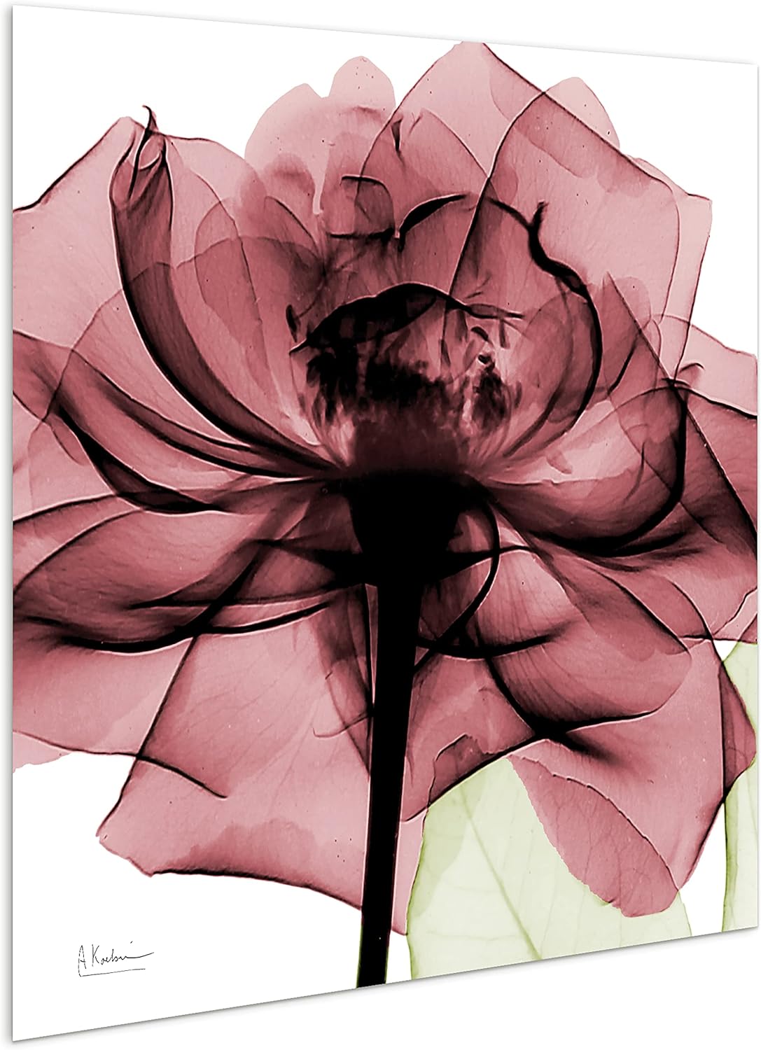 Empire Art Direct Frameless Free Floating Tempered Glass Panel Graphic Wall Art Ready to Hang, 24" x 24", Chianti Rose II
