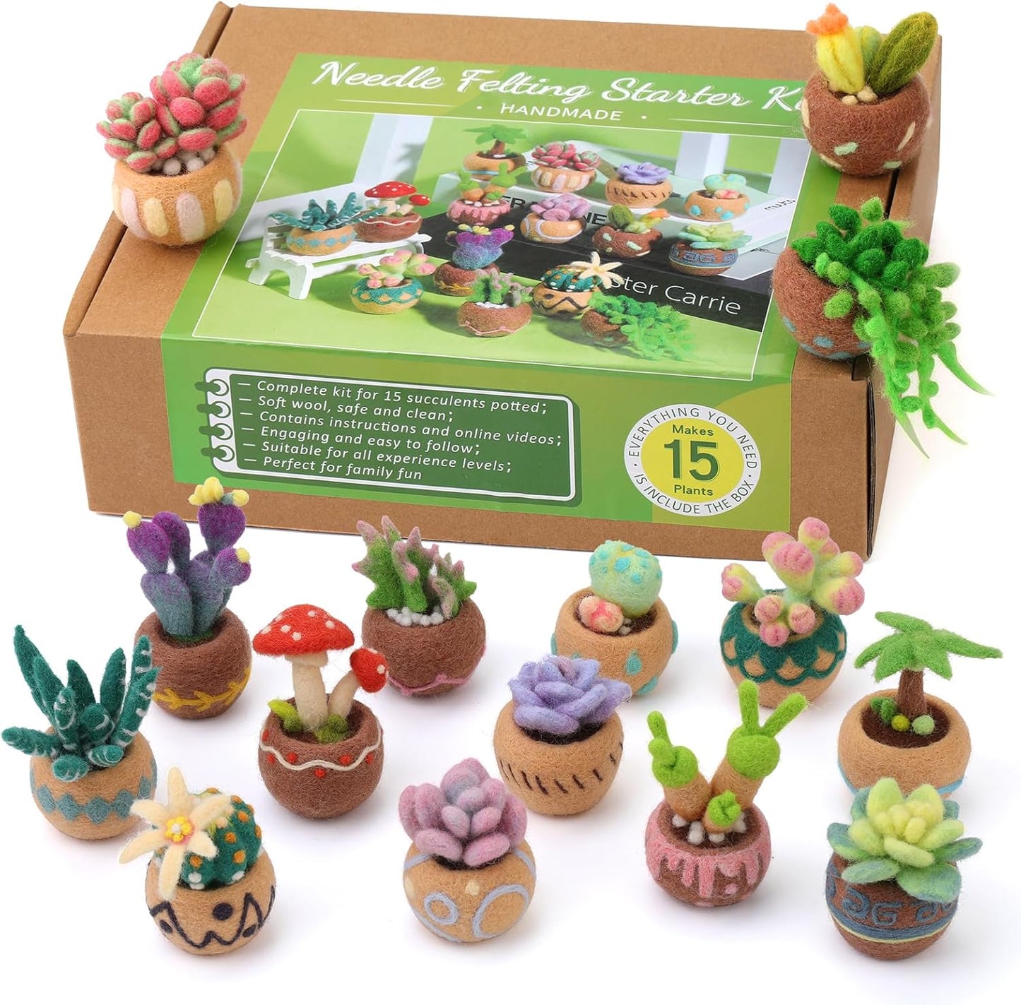 Needle Felting Kit, 15 Pcs Succulent Beginner Needle Felting Kit, Needle Felting Tools, Wool Felting Kit Including Wool Roving, Foam Mat, Felting Needles and Instructions for Diy Felting Starters