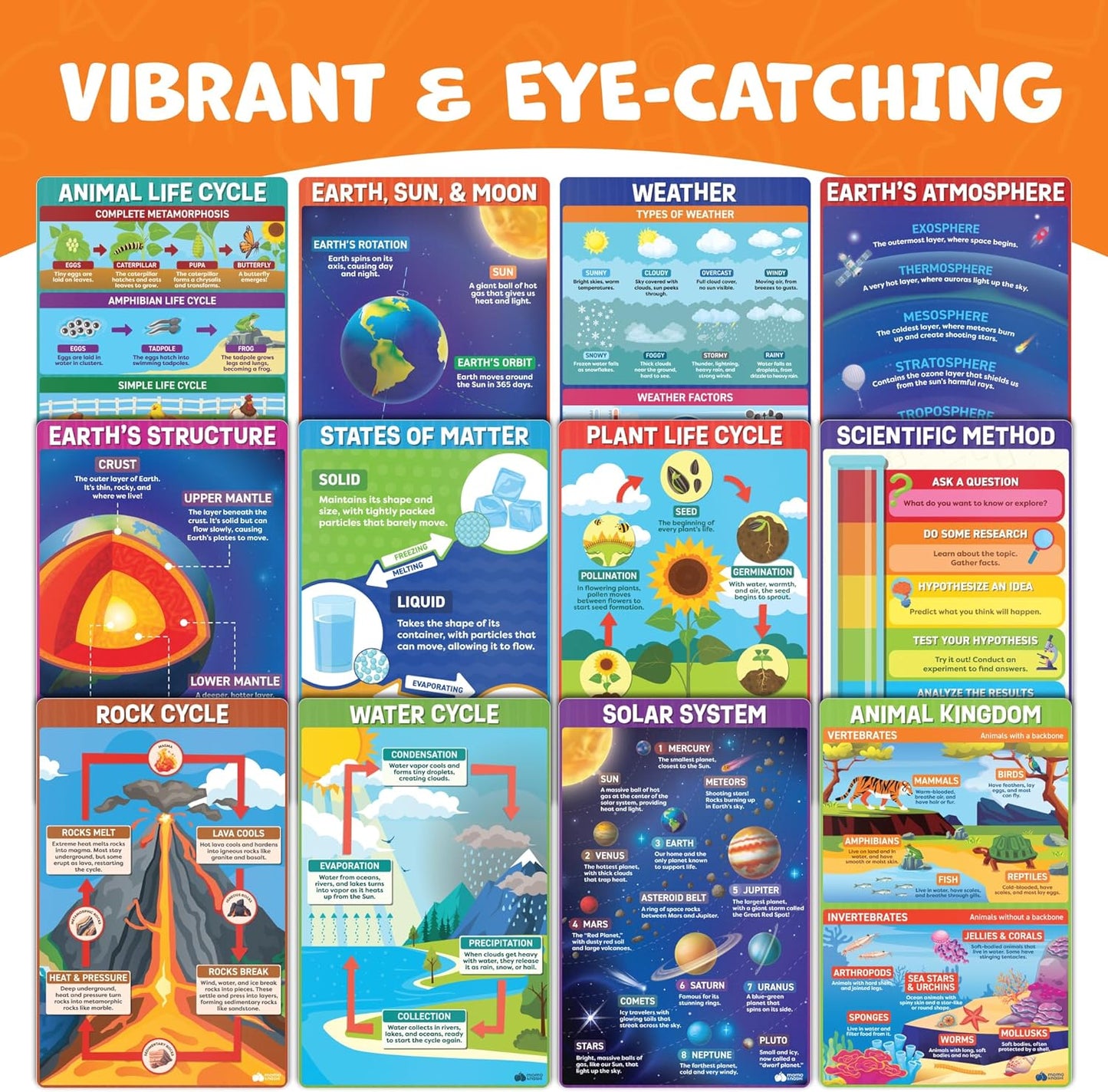 Science Posters for Classroom Middle School Elementary School - 12pc Science Classroom Decor Must Haves Posters Decorations - 17” x 11” - Scientific Method, Solar System, Matter, Animal Kingdom